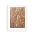 Plakat w ramie 30x40 - Mistrzowskie suche trawy - suche, trawy - rama biała