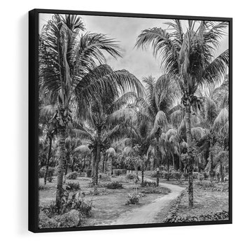 Obraz w ramie 50x50 - Mroczna Ścieżka Tropików - czarno biała fotografia, ścieżka pośród palm - rama czarna