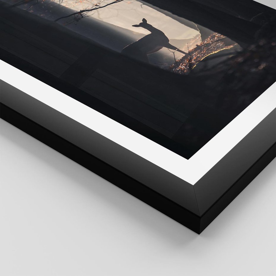 Plakat w ramie 50x70 - Sarnie Skoki - zdjęcie, klimatyczny las - rama czarna