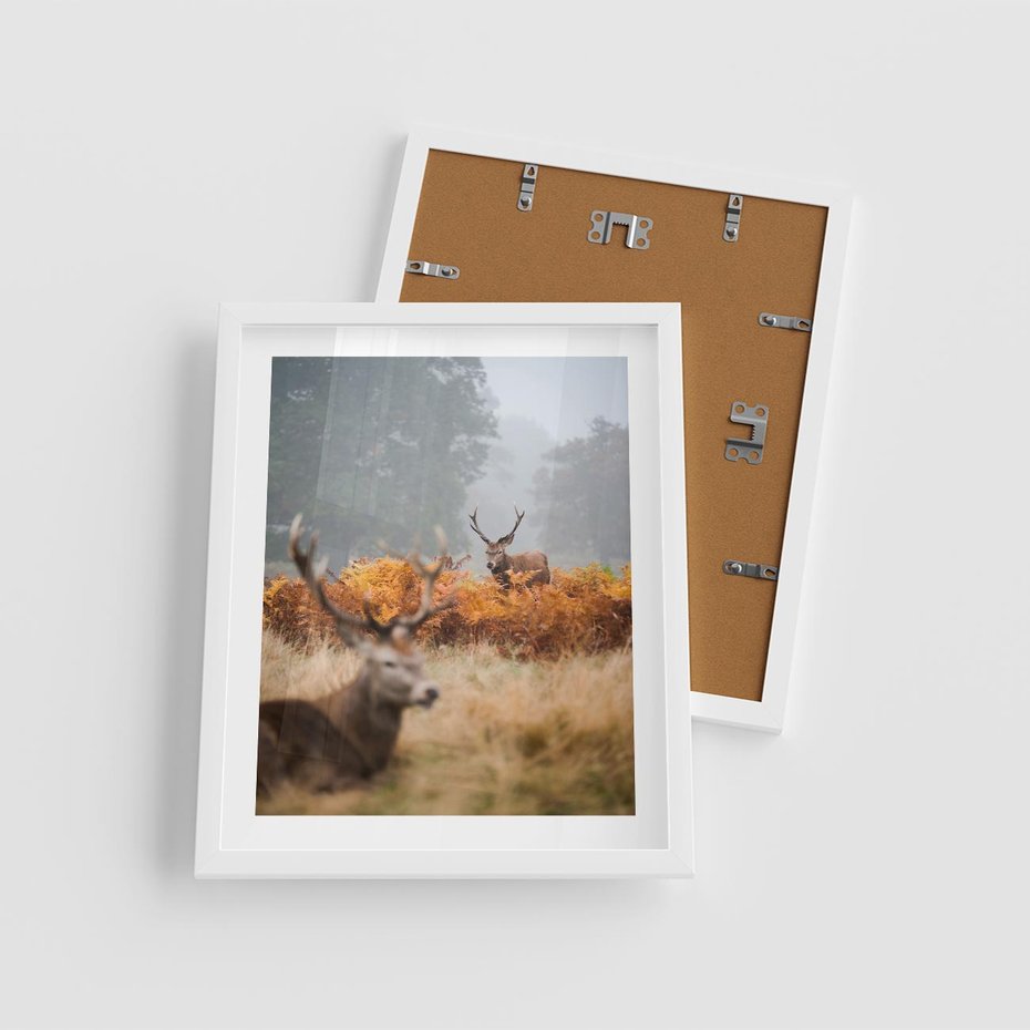 Plakat w ramie 40x50 - Malownicza Harmonia - jelenie, jesień - rama biała