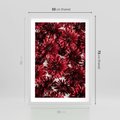 Plakat w ramie 50x70 - Energia Kwiatów - czerwone kwiaty, kompozycja - rama biała