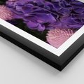 Plakat w ramie 50x70 - Fioletowa hortensja - kwiaty, hortensja - rama czarna