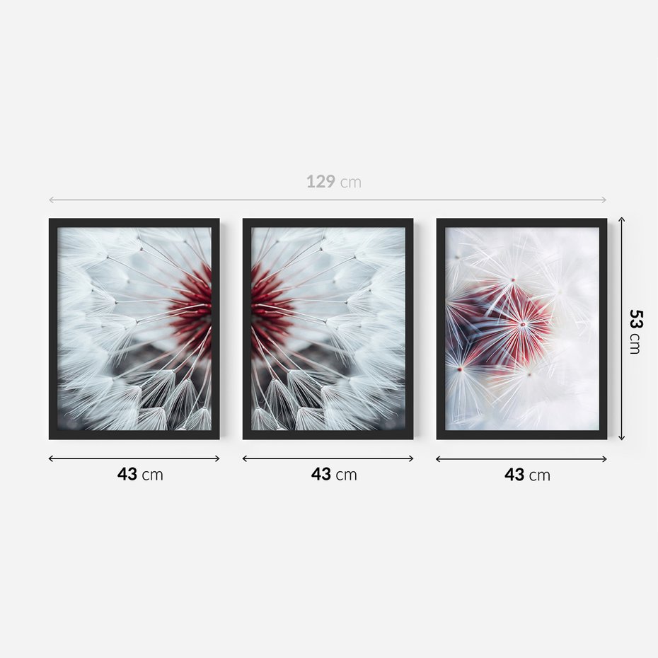 Zestaw obrazy w ramie 40x50 galeria - Dmuchawiec, nowoczesny, minimalizm - rama czarna