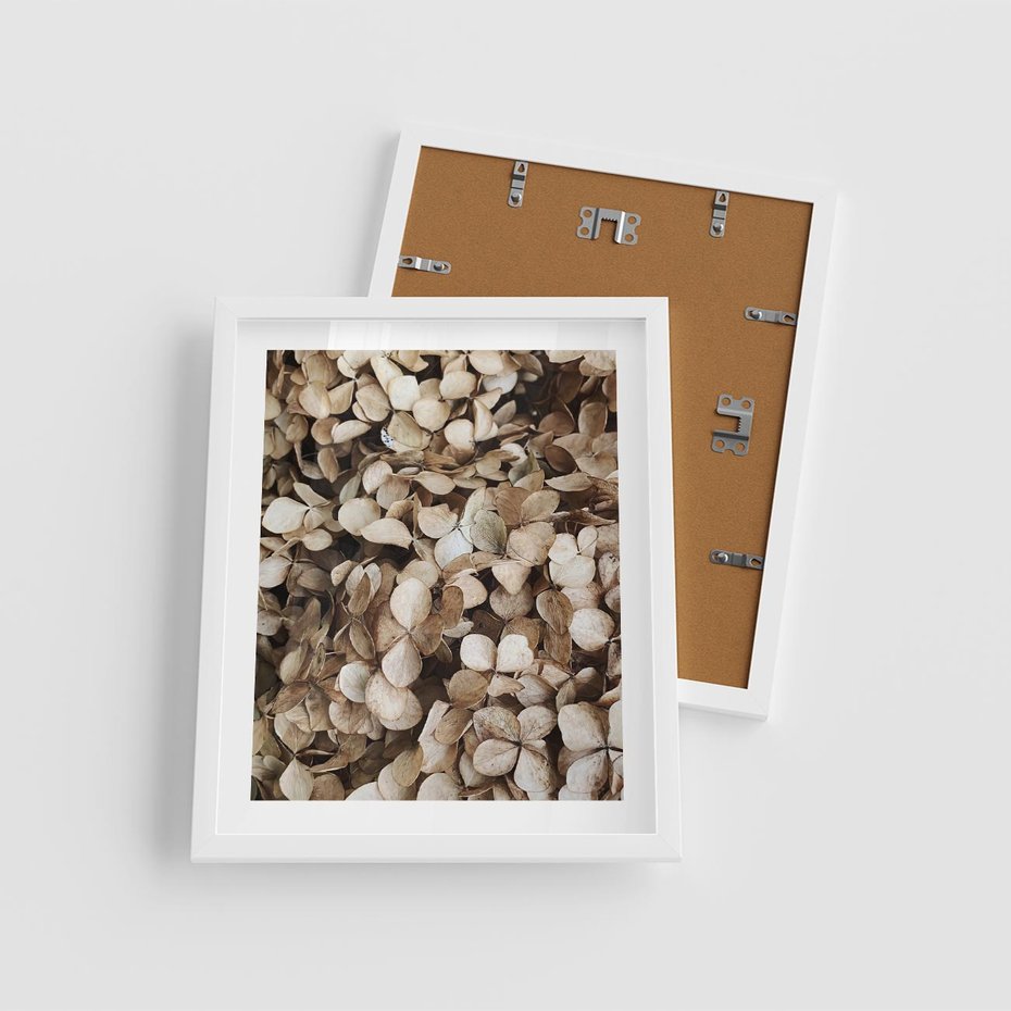 Plakat w ramie 40x50 - Delikatność Hortensji: Kompozycja Kwiatów w Beżu - hortensja, odcienie beżu - rama biała