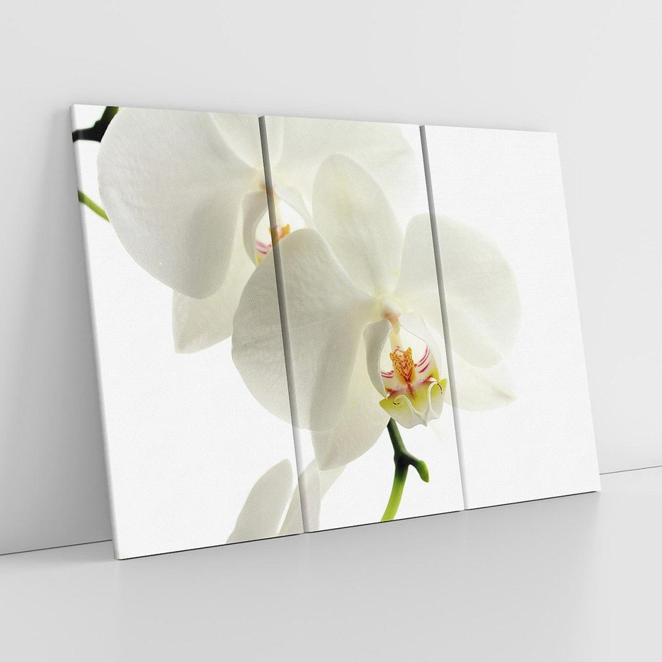 Obraz na płótnie 120x80 - Kwiatowe piękno - kwiat, kwiaty