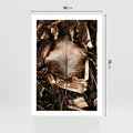 Plakat bez ramy 50x70 - Samotny Liść - liść, brąz