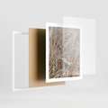 Plakat w ramie 40x50 - Beżowa Trawa - suche trawy, zbliżenie - rama biała
