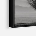 Obraz w ramie 70x100 - Samotne Drzewo - samotne drzewo w polu, czarno białe zdjęcie - rama czarna