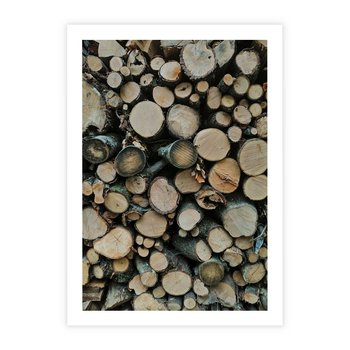 Plakat bez ramy 21x30 - Bliskość Natury - drewno, las