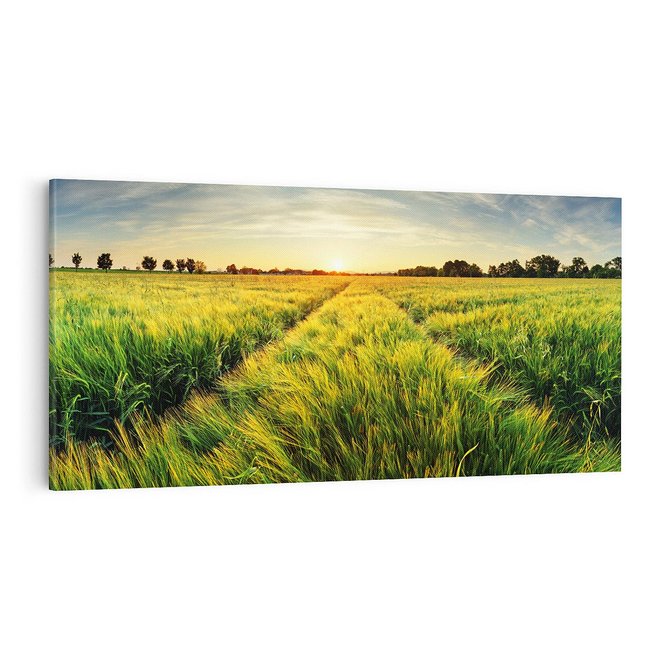 Obraz na płótnie 100x50 - Idylliczna łąka - łąka, natura