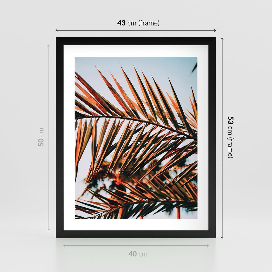 Plakat w ramie 40x50 - Tropikalna Harmonia - palma, liście palmy - rama czarna