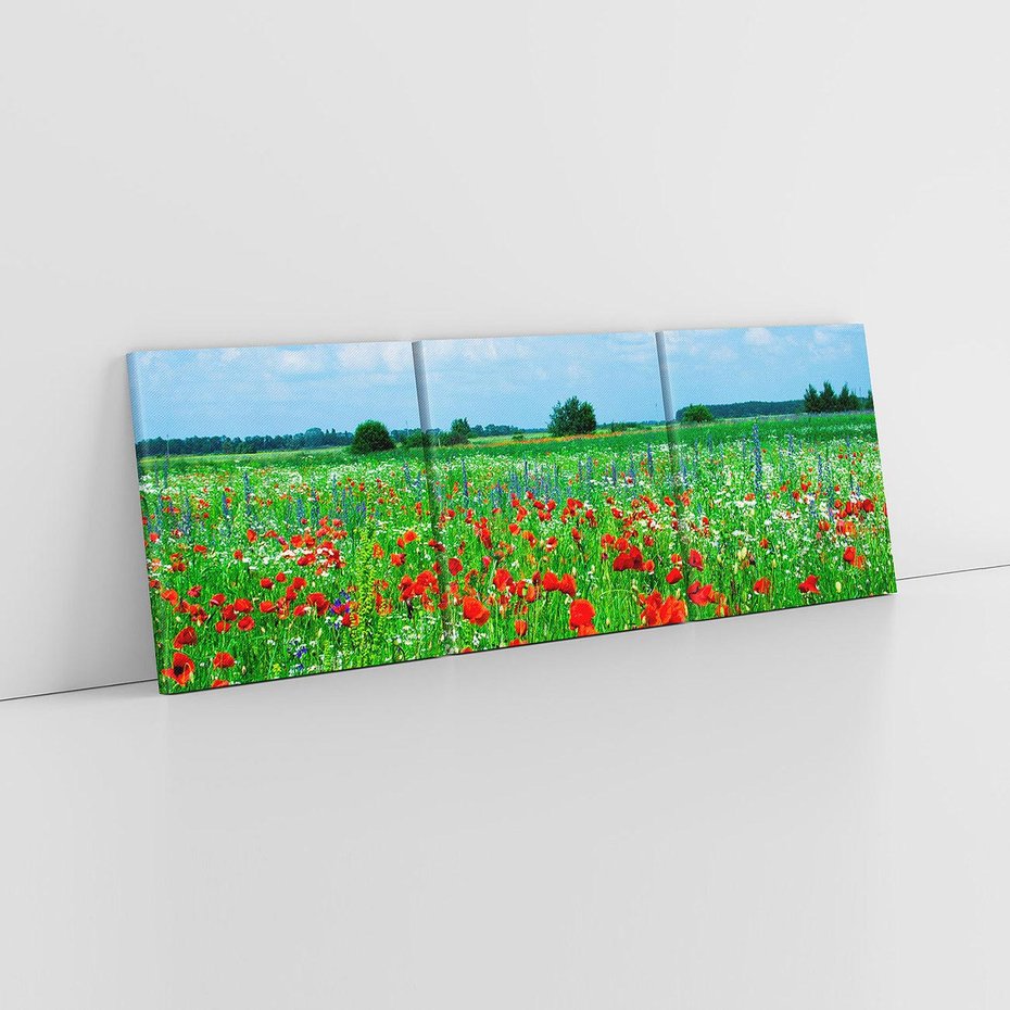 Obraz na płótnie 150x50 - Kolorowa łąka pełna maku - łąka, maki