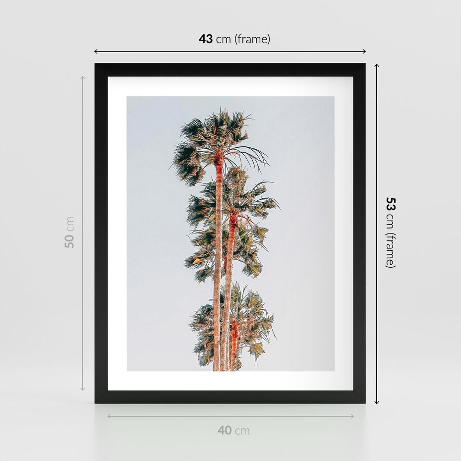 Plakat w ramie 40x50 - Kształty Palm - palmy, zdjęcie - rama czarna