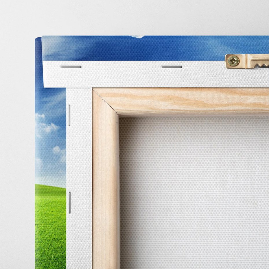 Obraz na płótnie 120x80 - Łąka pod Niebem - łąka, niebo