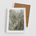Plakat w ramie 50x70 - Egzotyczny Świat Palm - palmy, liście palmy - rama biała