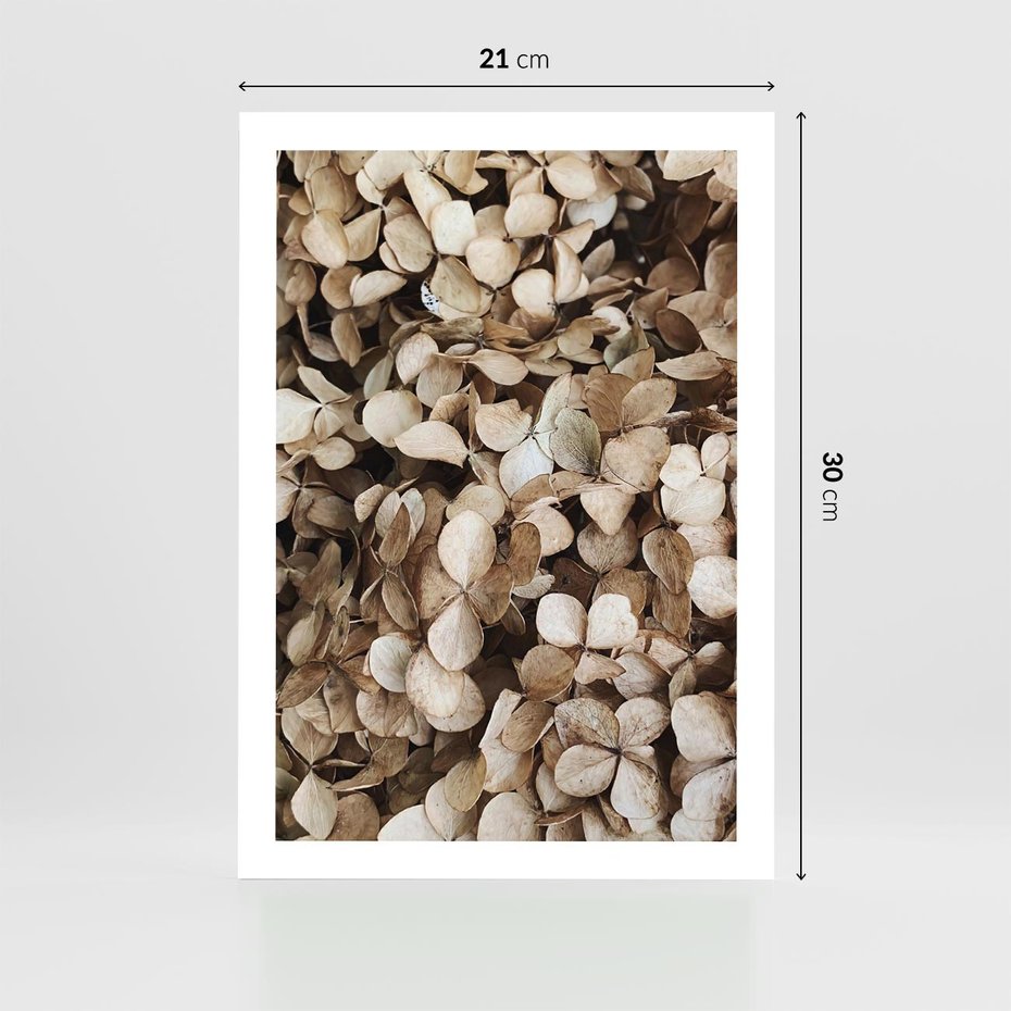 Plakat bez ramy 21x30 - Delikatność Hortensji: Kompozycja Kwiatów w Beżu - hortensja, odcienie beżu