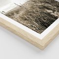 Plakat w ramie 30x40 - Łąka w Klimacie Sepii - suche trawy, łąka - rama drewno
