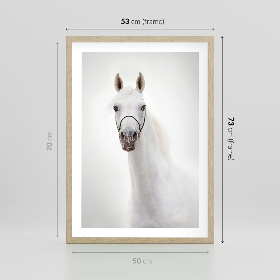 Plakat w ramie 50x70 - Elegancja białego konia - biały, koń - rama drewno
