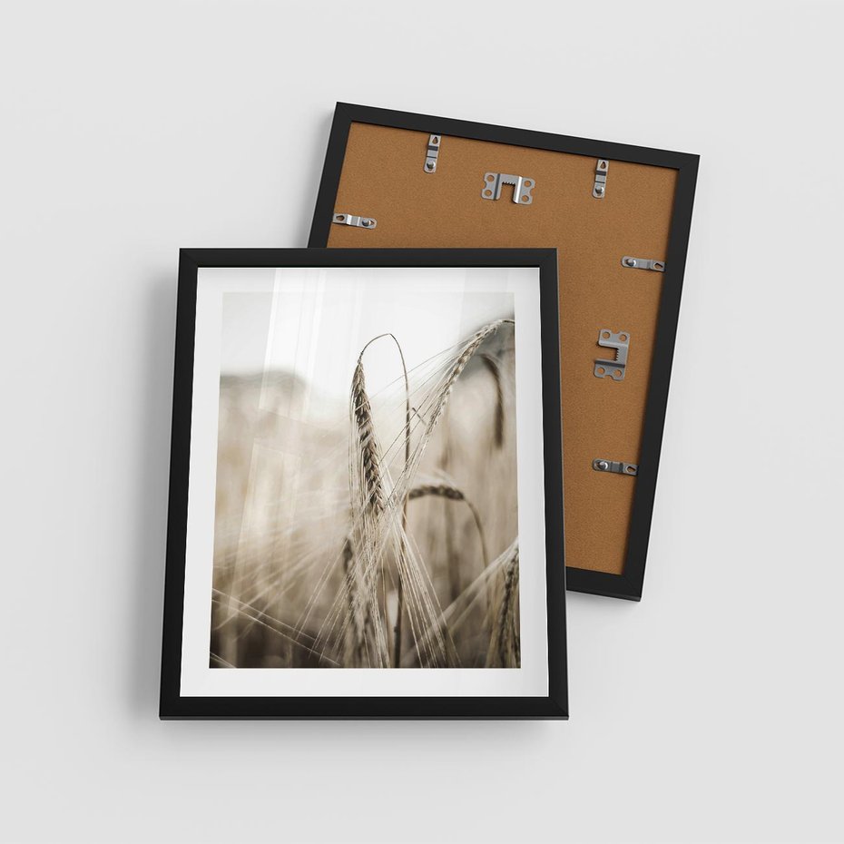 Plakat w ramie 40x50 - Kłosy Pszenicy w Sepii - zboże, kłos pszenicy - rama czarna