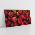 Obraz na płótnie 140x70 - Piękno róż: delikatność natury - róże, kwiaty