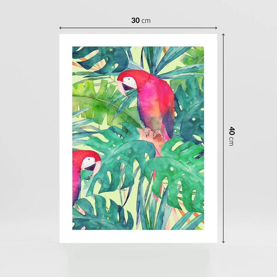 Plakat bez ramy 30x40 - Egzotyczna Przygoda - tropikalne, liście