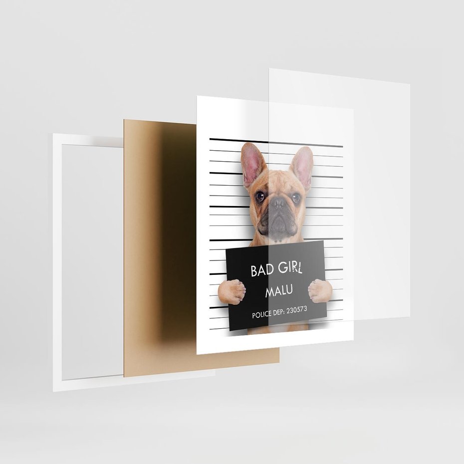 Plakat w ramie 40x50 - przyjaciel na zawsze - pies, piesek - rama biała