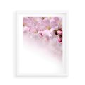 Plakat w ramie 40x50 - Kwitnąca Wiśnia - kwiaty, kwitnącej - rama biała