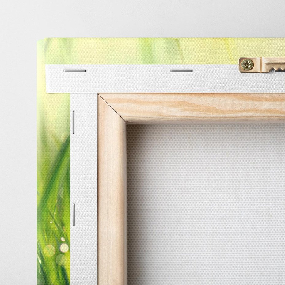 Obraz na płótnie 70x50 - Piękno Poranka - łąka, trawa