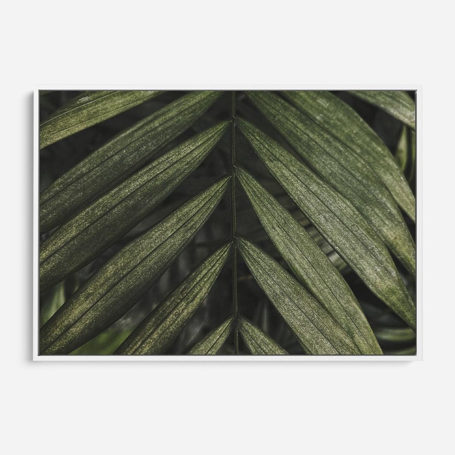 Obraz w ramie 70x50 - W Liściach Ukryte - zdjęcie, fotografia - rama biała