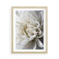 Plakat w ramie 50x70 - Białe Kwiaty Delikatności - białe, kwiaty - rama drewno