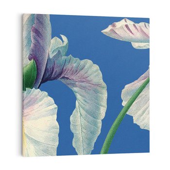 Obraz na płótnie 50x50 - Rapsodia malarskich gestów - wielkie kwiaty, zbliżenie