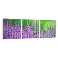 Obraz na płótnie 120x40 - Lawenda magia purpury - lawenda, kwiaty