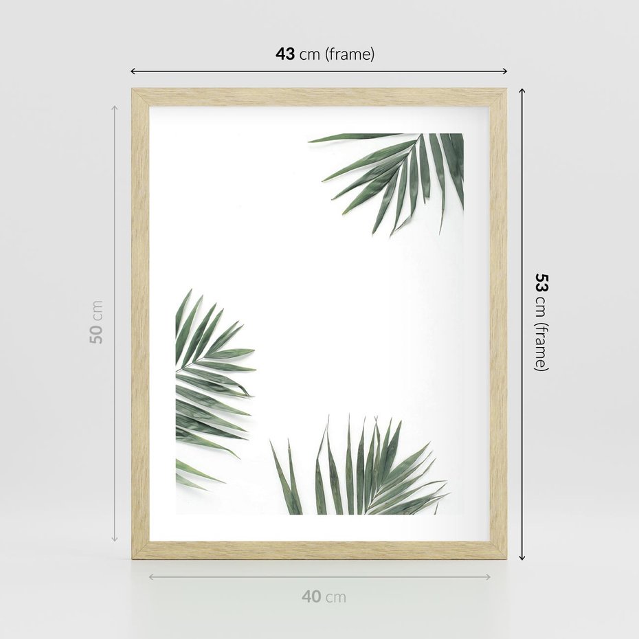 Plakat w ramie 40x50 - Liście Palmy na Czystym Tle - liście palmy, białe tło - rama drewno
