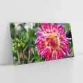Obraz na płótnie 120x60 - Kwiatowe impresje natury - kwiat, kwiaty