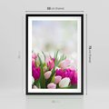 Plakat w ramie 50x70 - Tulipany w pełnym rozkwicie - tulipany, kwiaty - rama czarna
