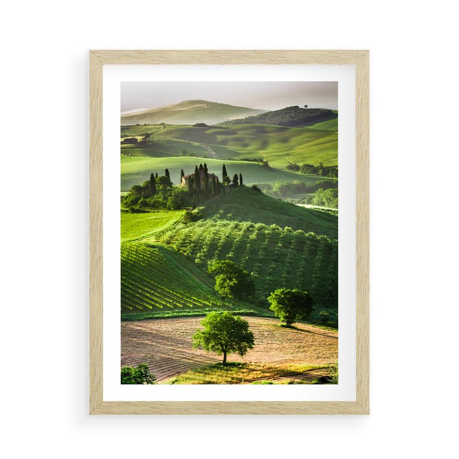 Plakat w ramie 50x70 - Prowansja: malownicze winnice w kraju Włoch - Prowansja, Włochy - rama drewno