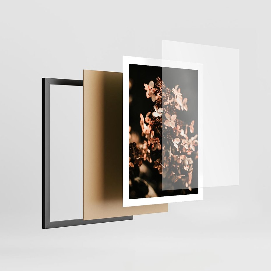 Plakat w ramie 50x70 - Hortensja - Suchy Kwiat w Sztuce - hortensja, suchy kwiat - rama czarna