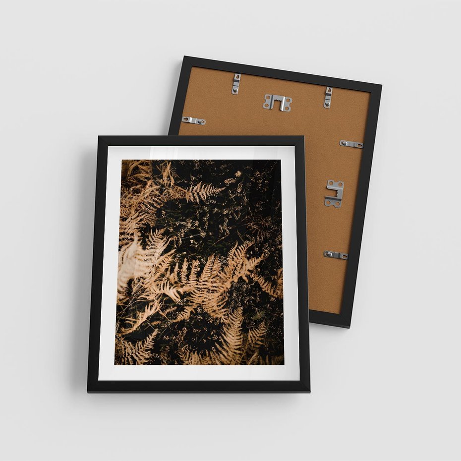 Plakat w ramie 40x50 - Jesienne Paprocie: Kolorowa Paleta Natury - paprocie, jesień - rama czarna