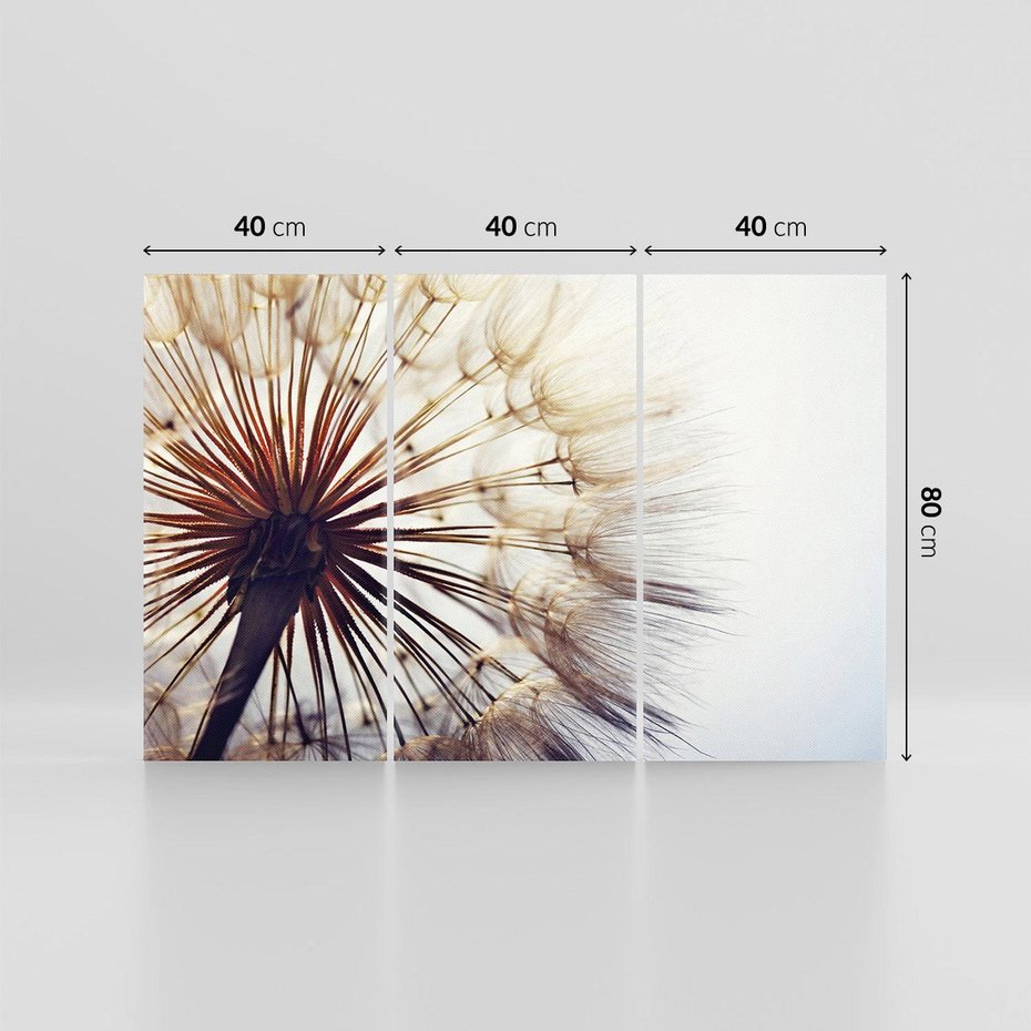 Obraz na płótnie 120x80 - Makro piękno dmuchawca - makro, dmuchawiec