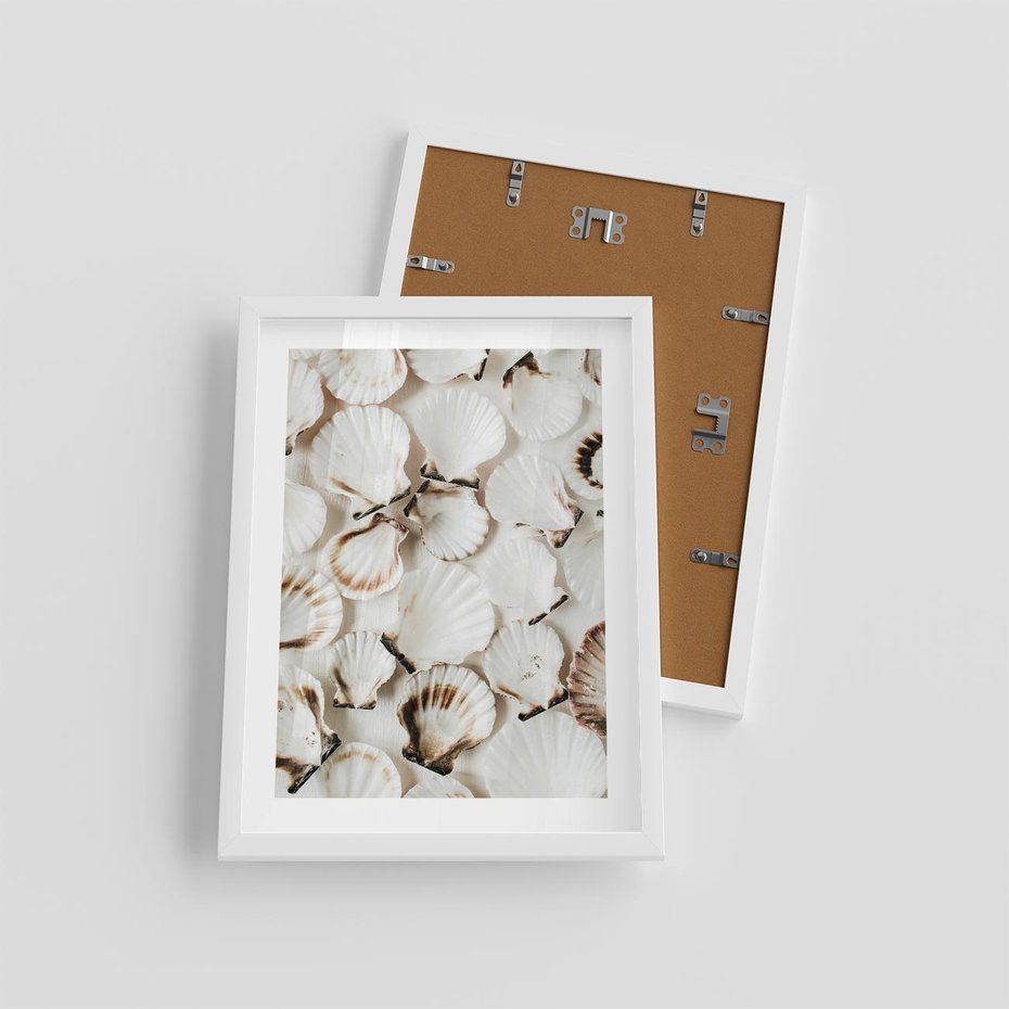Plakat w ramie 30x40 - Białe Muszle - białe muszle, ujęcie z góry - rama biała
