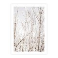 Plakat bez ramy 40x50 - Szron na Gałęziach - ośnieżone gałązki, szron na gałęziach