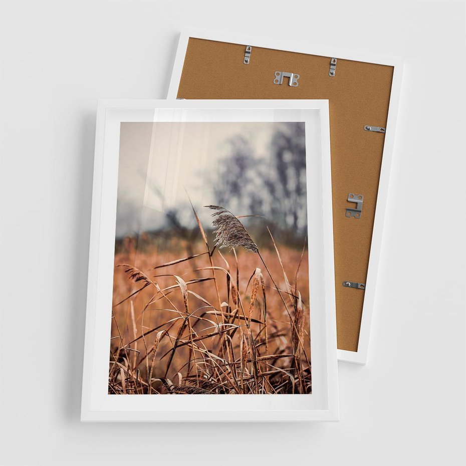 Plakat w ramie 50x70 - Jesienna Melancholia - suche trawy, jesień - rama biała