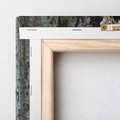 Obraz na płótnie 30x30 - Tajemniczy W świecie Nocy - sowa, dziupla