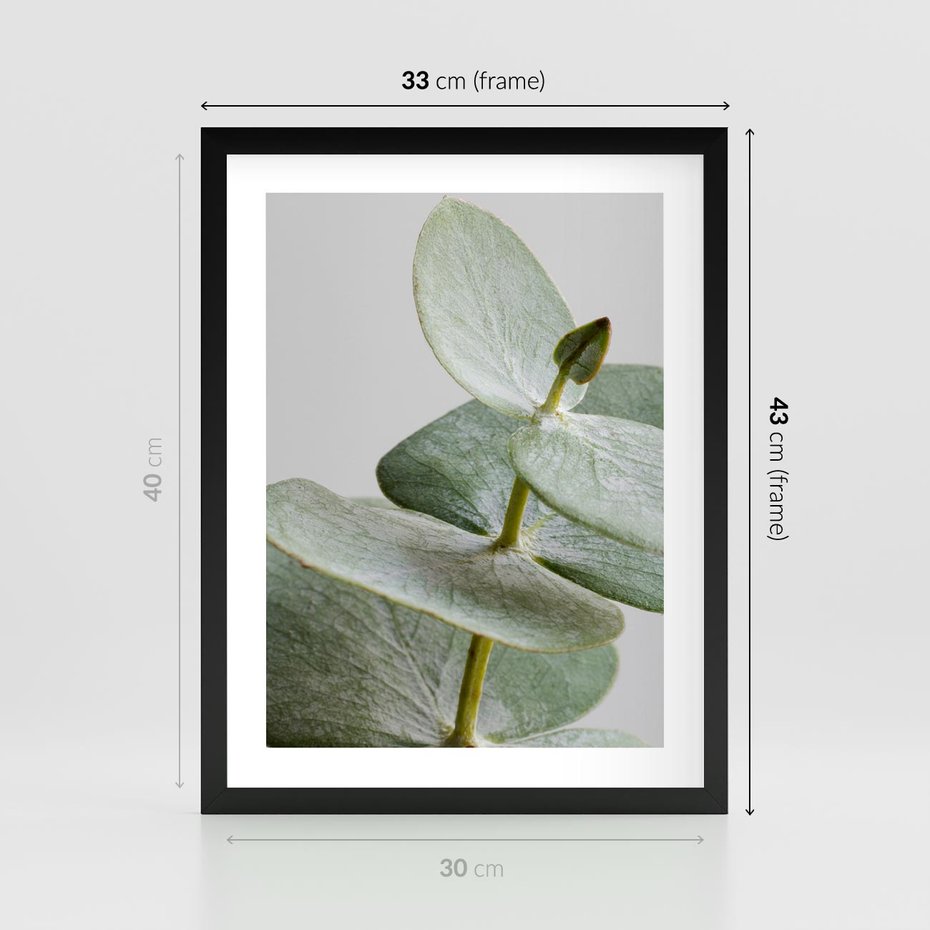 Plakat w ramie 30x40 - Eukaliptusowa zieleń - eukaliptus, zielone - rama czarna