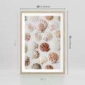Plakat w ramie 50x70 - Morska Delikatność: Muszelki na Białym Tle - kompozycja, morskie muszelki na białym tle - rama drewno