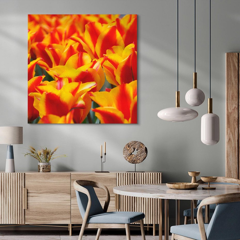 Obraz na płótnie 70x70 - Kwiatowa natura - kwiat, kwiaty