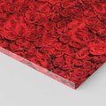Obraz na płótnie 30x30 - Czerwona Pasja - czerwone, róże