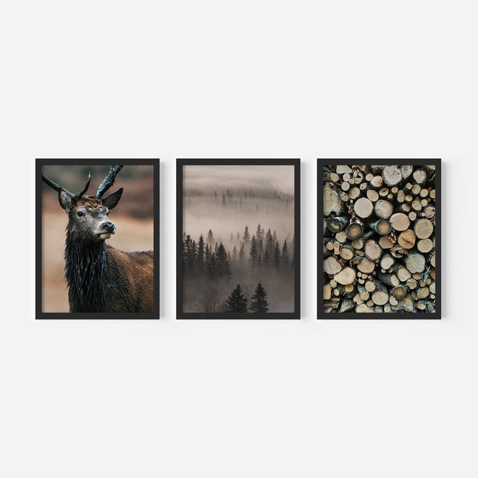 Zestaw obrazy w ramie 50x70 galeria - Jeleń, las, drzewa, boho, skandynawski - rama czarna