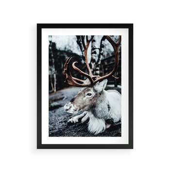 Plakat w ramie 30x40 - W Zimowej Krainie - renifer, zima - rama czarna