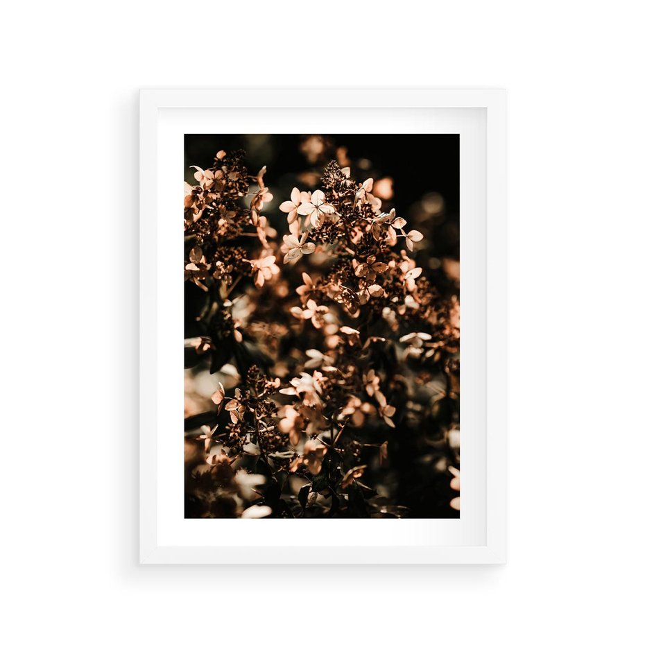 Plakat w ramie 30x40 - Sucha Kompozycja Kwiatów - suche kwiaty hortensji - rama biała